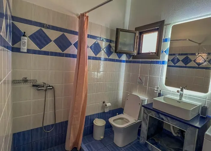 Aloni House Apartament *